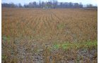 Property photo 38 - 80 Acres & Home - Property Offered in 4 Tracts from 2.3 to 30.0 Acres